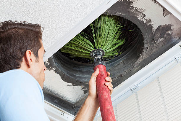 Best Ductwork Cleaning Services  in Seminole, FL